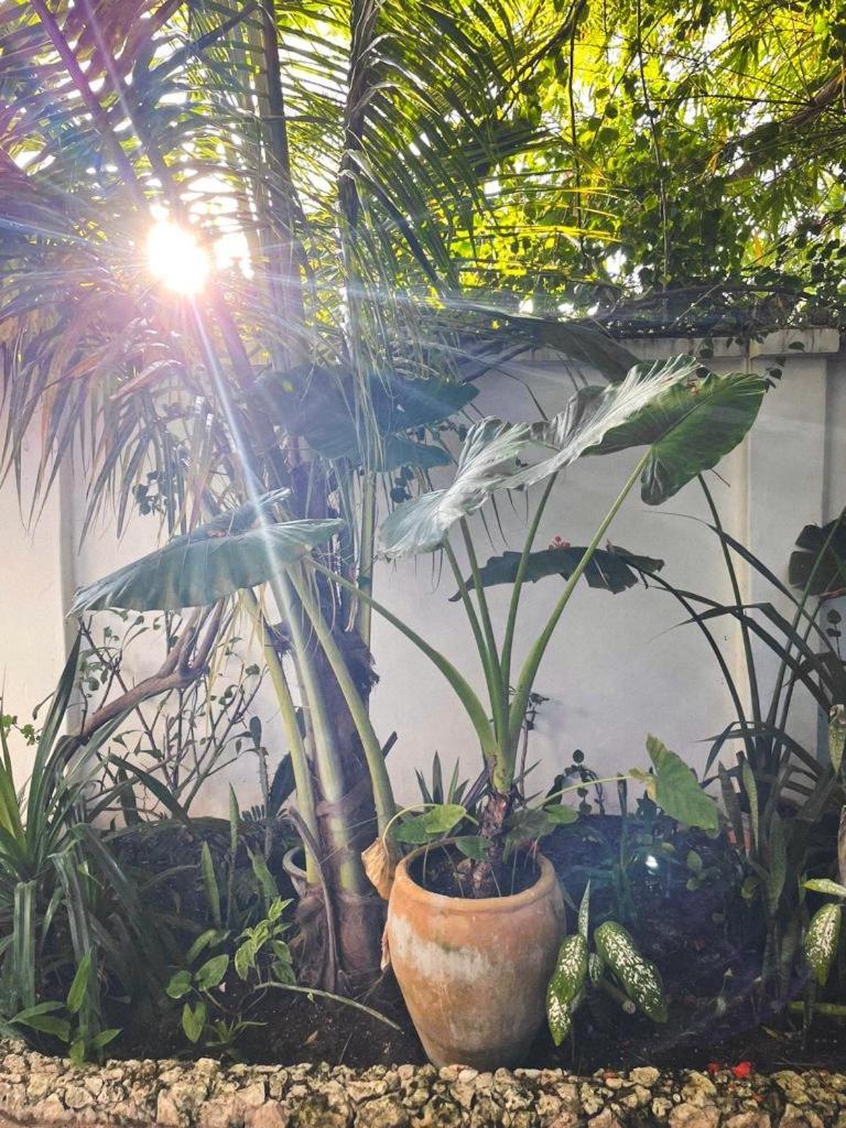 Nakupenda Paje Villa Buitenkant foto